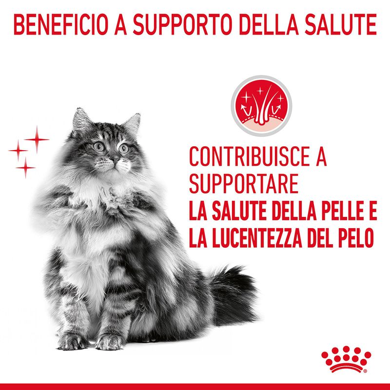 Royal Canin Hair&Skin Care 2kg Crocchette per Gatti Royal Canin Hair&Skin Care 2kg Crocchette per Gatti